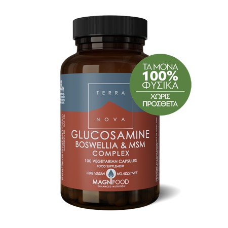 Terranova Glucosamine Boswellia & MSM Complex Joint Support Συμπλήρωμα Για Τις Αρθρώσεις 100 Κά